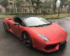 赵雅芝,杨洋,张凌赫等明,开云体育,开云体育官网,开云体育app,开云体育平台,KAIYUN,SPORTS,kaiyun登录入口