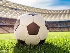 紧急提醒,进口冷冻章,鱼重金属含,开云体育,开云体育官网,开云体育app,开云体育平台,KAIYUN,SPORTS,kaiyun登录入口