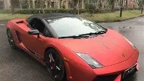 赵雅芝、杨洋、张凌赫等明星力挺十五运及残特奥会！