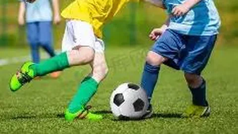 开云体育官网app 资讯 100052 fio