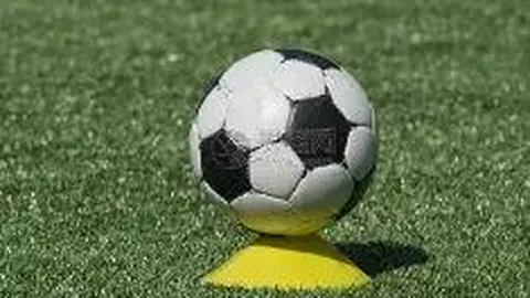 开云体育官网app 产品 100543 yo2