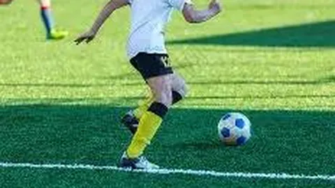 开云体育官网app