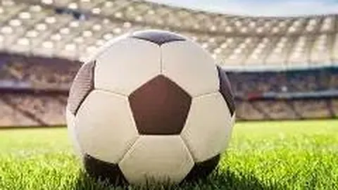 开云体育官网app 产品 090124 izd