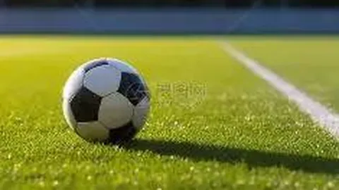 开云体育官网app 产品 090033 5mn