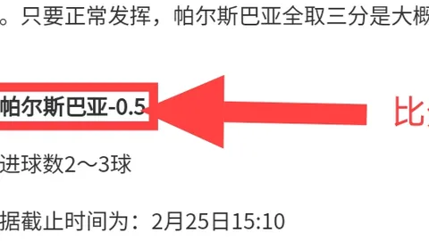 “2025年1月27日：自由式滑雪世界杯玻波特湖站完美落幕，中国队斩获两金两银一铜辉煌战绩”