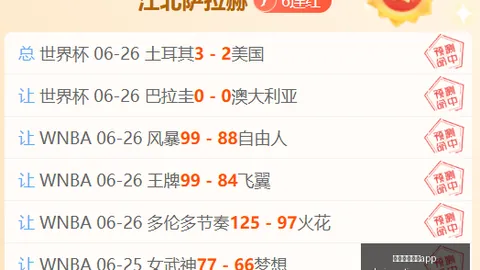 开云体育官网 134838 8